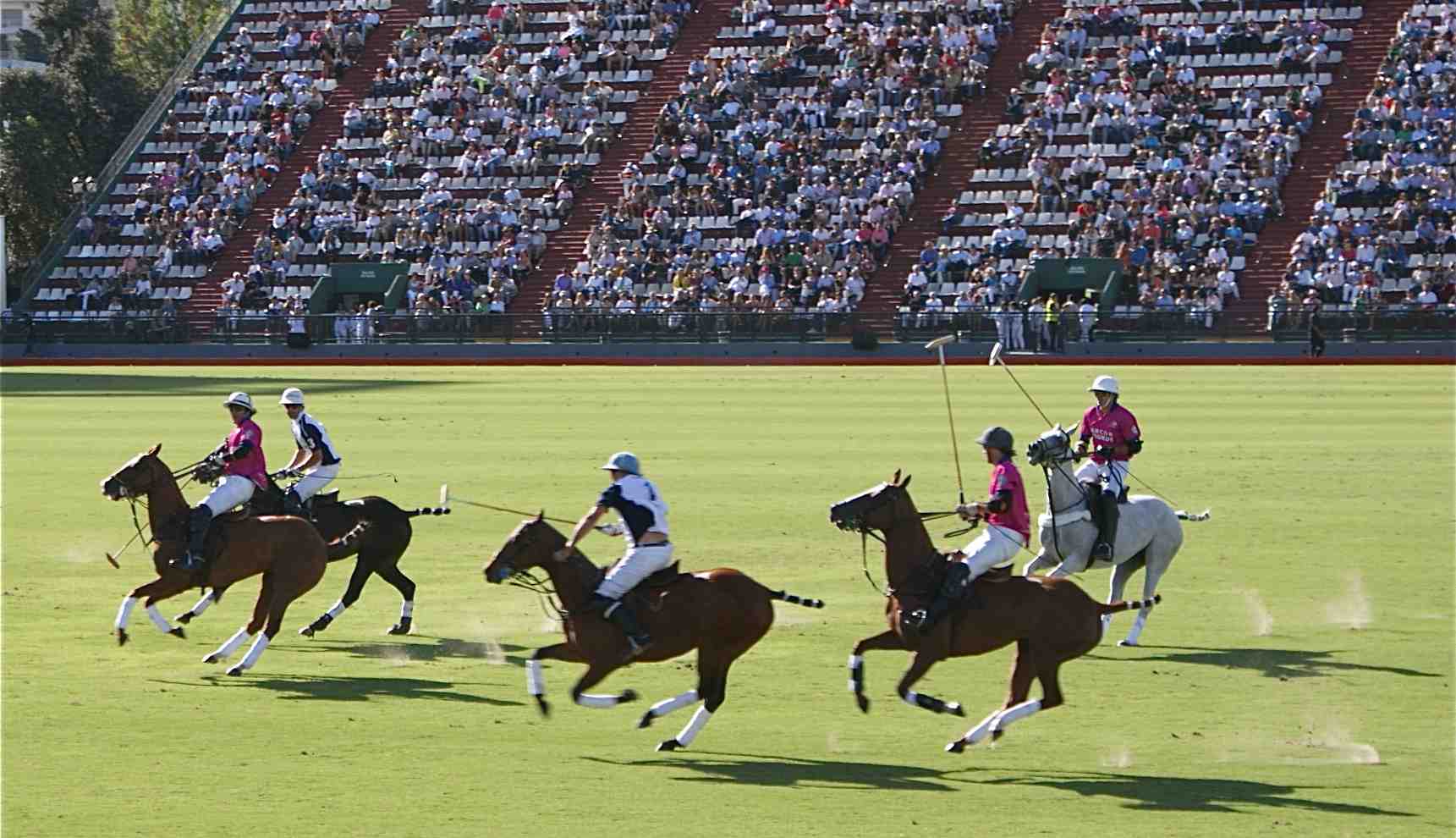 Argentine open shop polo 2018